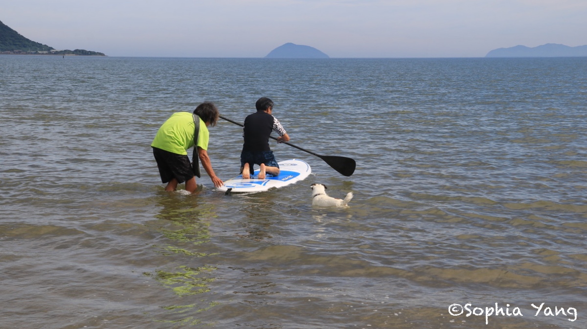 日本九州｜佐賀唐津海灘和狗狗一起玩SUP，萌翻模樣好難忘