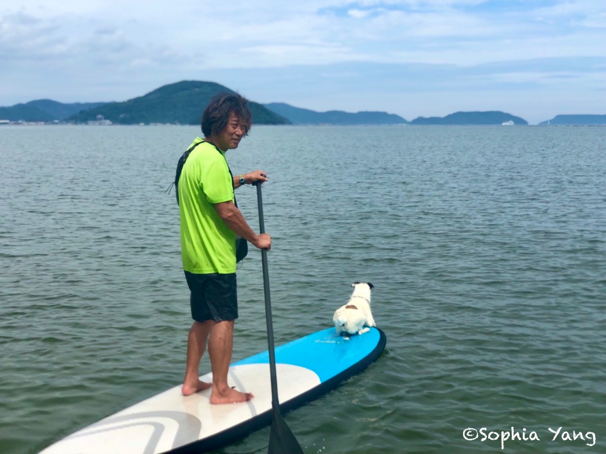 日本九州｜佐賀唐津海灘和狗狗一起玩SUP，萌翻模樣好難忘