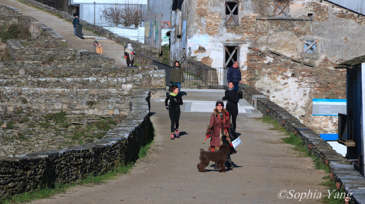 盧戈(Lugo)│超過千年的古城牆上散步遛狗，也太愜意！