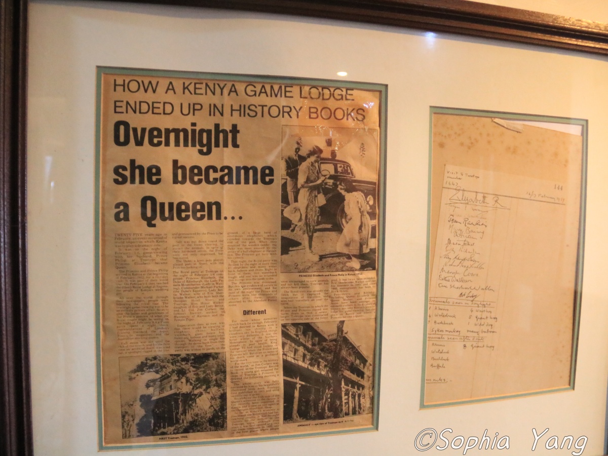 肯亞│紅透半個世紀的樹頂飯店，英國伊莉莎白女王二世在這裡從公主變女王