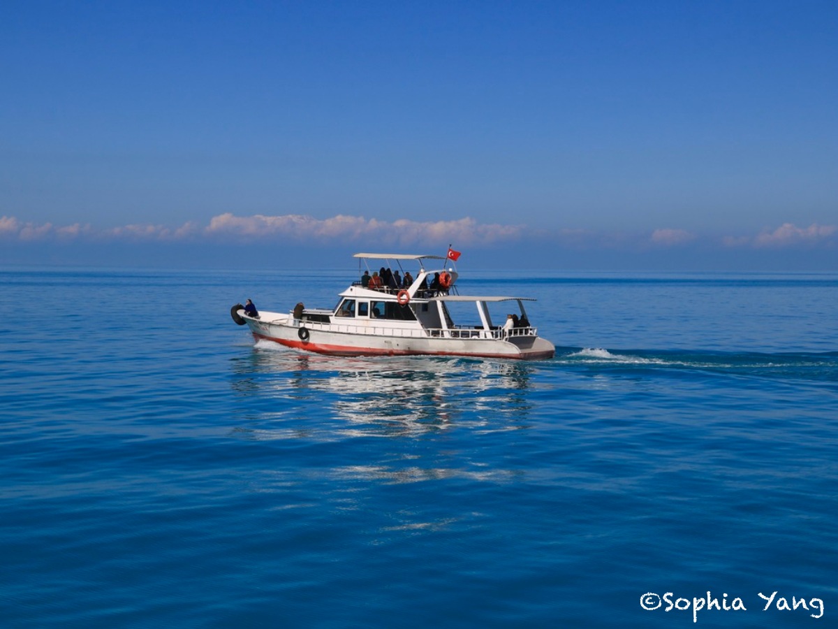 土耳其東部｜凡湖看梵貓，還有藍到不可思議的湖水