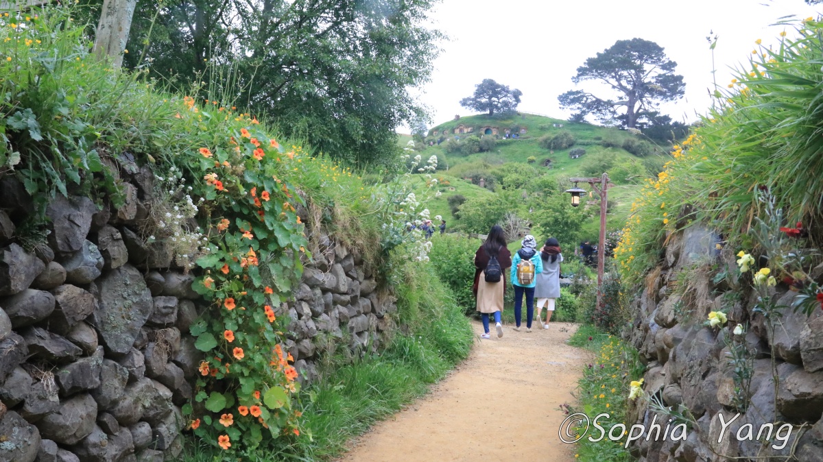 穿過這石砌小徑才能進入哈比人的村落.