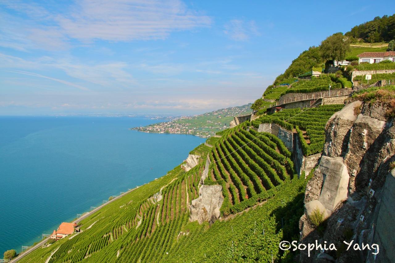 瑞士｜日內瓦湖區世界遺產，有三個太陽照耀的拉沃Lavaux葡萄園